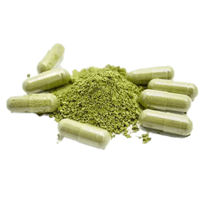 The Growing Popularity of Kratom Powder: Trends and Insights