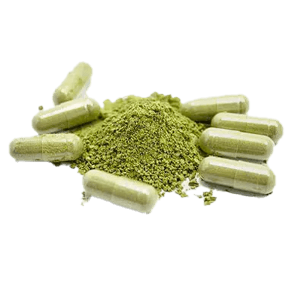 The Growing Popularity of Kratom Powder: Trends and Insights