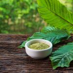 Top Kratom Strains to Take on a Road Trip for Energy and Relaxation