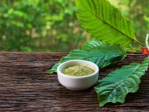 Top Kratom Strains to Take on a Road Trip for Energy and Relaxation